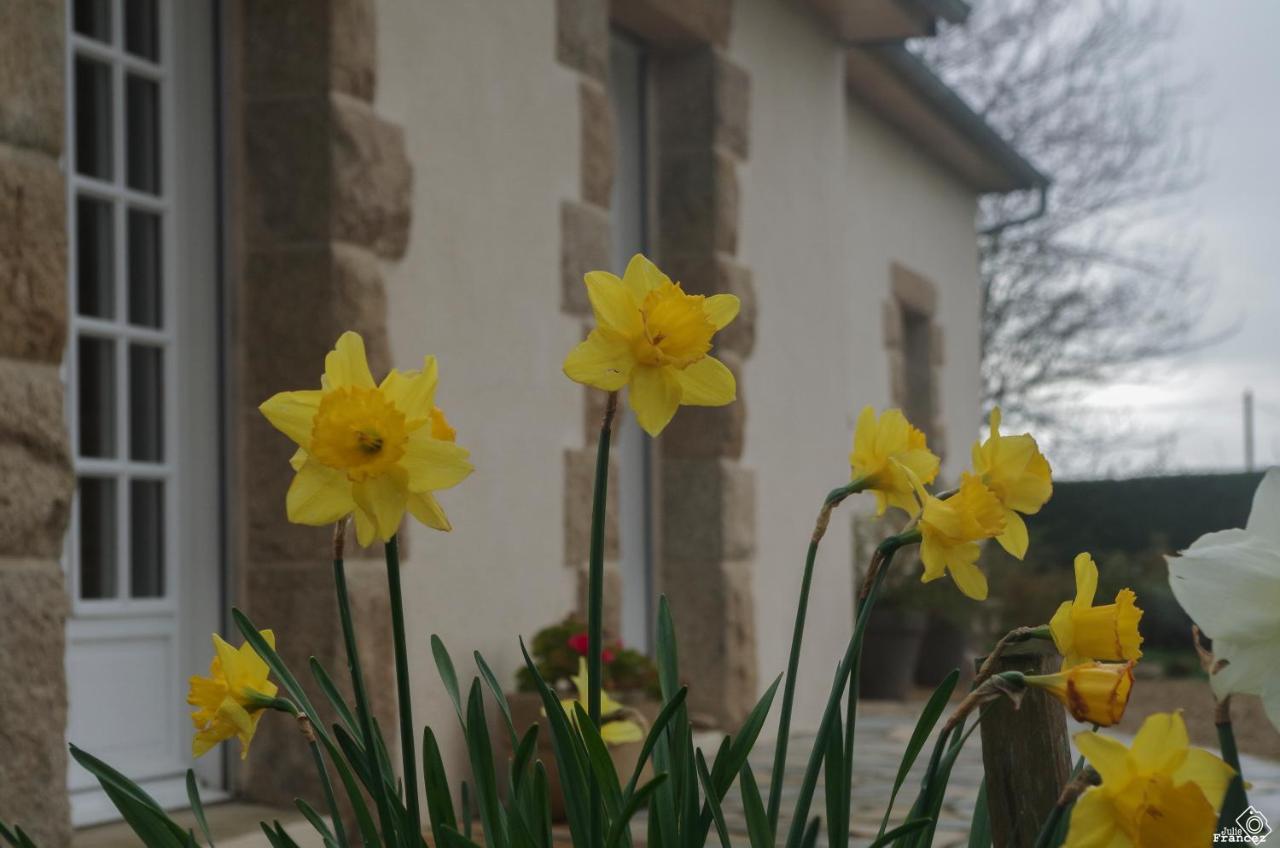 Le Tregonnec, Pres De Morlaix, Roscoff Bed & Breakfast Plouvorn Exterior photo